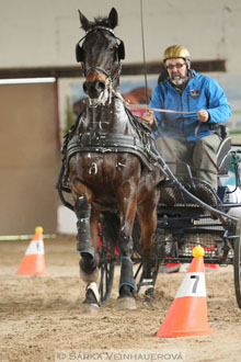 Zimní Jezdecký pohár spřežení 2016 -...
