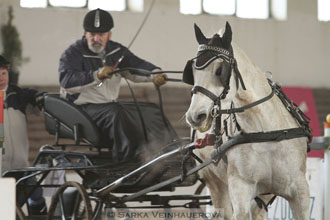 Zimní Jezdecký pohár spřežení 2016 -...