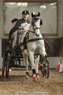 Zimní Jezdecký pohár spřežení 2016 -...