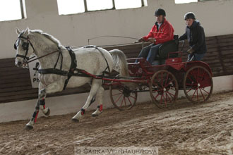 Zimní Jezdecký pohár spřežení 2016 -...