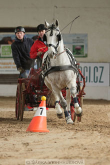 Zimní Jezdecký pohár spřežení 2016 -...