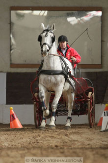 Zimní Jezdecký pohár spřežení 2016 -...