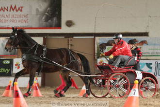 Zimní Jezdecký pohár spřežení 2016 -...