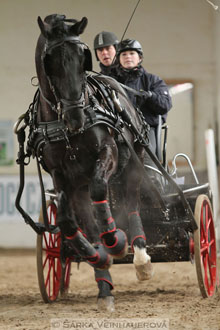 Zimní Jezdecký pohár spřežení 2016 -...