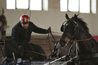 Zimní Jezdecký pohár spřežení 2016 -...