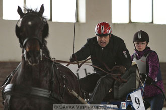Zimní Jezdecký pohár spřežení 2016 -...