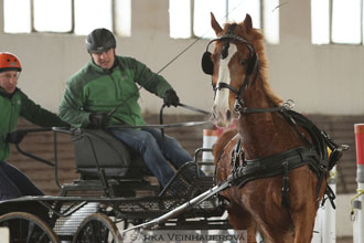 Zimní Jezdecký pohár spřežení 2016 -...