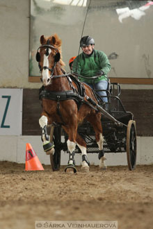Zimní Jezdecký pohár spřežení 2016 -...