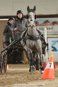 Zimní Jezdecký pohár spřežení 2016 -...