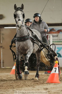 Zimní Jezdecký pohár spřežení 2016 -...