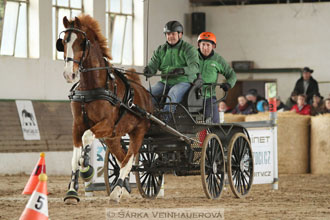 Zimní Jezdecký pohár spřežení 2016 -...
