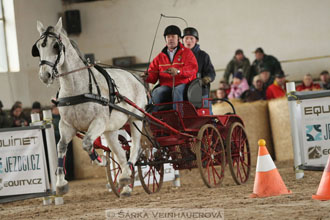 Zimní Jezdecký pohár spřežení 2016 -...