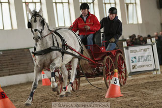 Zimní Jezdecký pohár spřežení 2016 -...