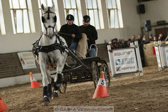 Zimní Jezdecký pohár spřežení 2016 -...