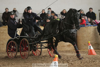 Zimní Jezdecký pohár spřežení 2016 -...