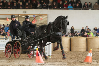 Zimní Jezdecký pohár spřežení 2016 -...