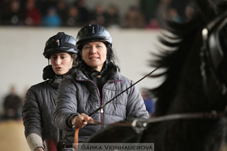 Zimní Jezdecký pohár spřežení 2016 -...