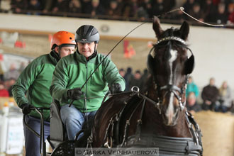 Zimní Jezdecký pohár spřežení 2016 -...