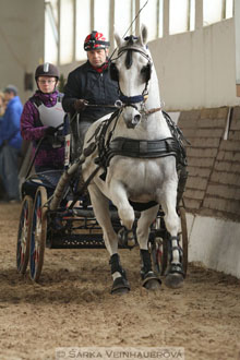 Zimní Jezdecký pohár spřežení 2016 -...