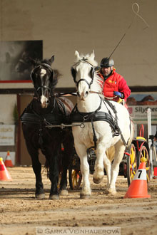 Zimní Jezdecký pohár spřežení 2016 -...