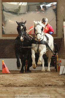 Zimní Jezdecký pohár spřežení 2016 -...