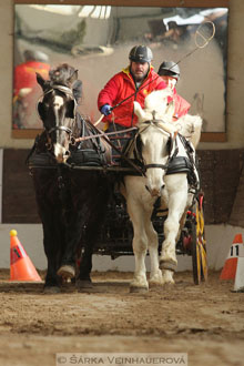 Zimní Jezdecký pohár spřežení 2016 -...