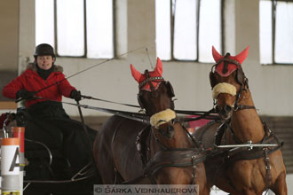 Zimní Jezdecký pohár spřežení 2016 -...