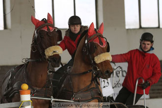 Zimní Jezdecký pohár spřežení 2016 -...