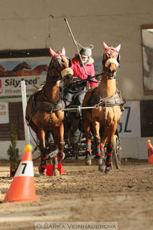Zimní Jezdecký pohár spřežení 2016 -...