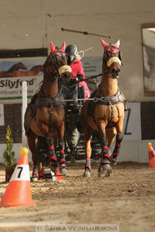 Zimní Jezdecký pohár spřežení 2016 -...