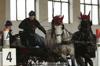Zimní Jezdecký pohár spřežení 2016 -...