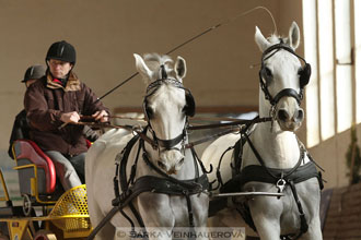 Zimní Jezdecký pohár spřežení 2016 -...