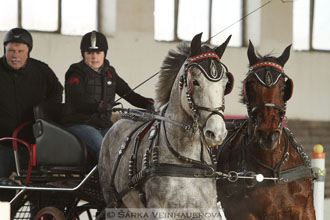 Zimní Jezdecký pohár spřežení 2016 -...