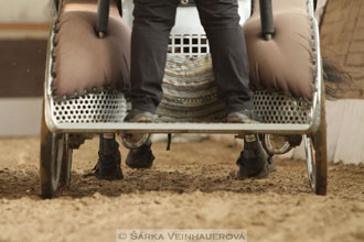 Zimní Jezdecký pohár spřežení 2016 -...