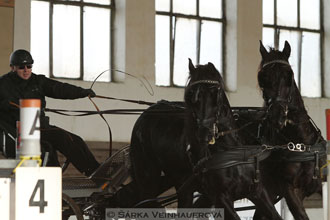 Zimní Jezdecký pohár spřežení 2016 -...