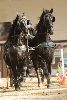 Zimní Jezdecký pohár spřežení 2016 -...