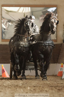 Zimní Jezdecký pohár spřežení 2016 -...