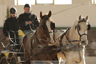 Zimní Jezdecký pohár spřežení 2016 -...