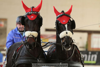 Zimní Jezdecký pohár spřežení 2016 -...