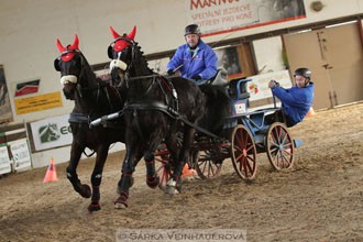 Zimní Jezdecký pohár spřežení 2016 -...
