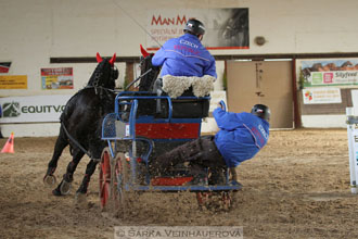 Zimní Jezdecký pohár spřežení 2016 -...
