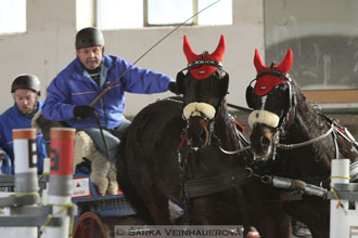 Zimní Jezdecký pohár spřežení 2016 -...