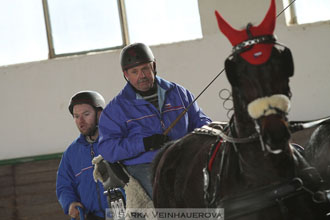 Zimní Jezdecký pohár spřežení 2016 -...