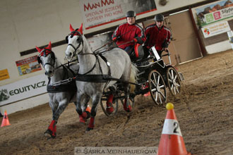Zimní Jezdecký pohár spřežení 2016 -...