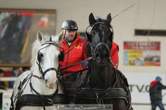 Zimní Jezdecký pohár spřežení 2016 -...