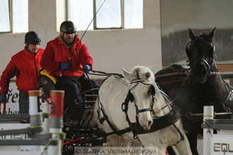 Zimní Jezdecký pohár spřežení 2016 -...