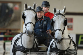Zimní Jezdecký pohár spřežení 2016 -...