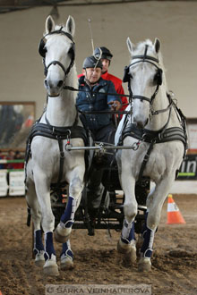 Zimní Jezdecký pohár spřežení 2016 -...
