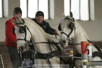 Zimní Jezdecký pohár spřežení 2016 -...