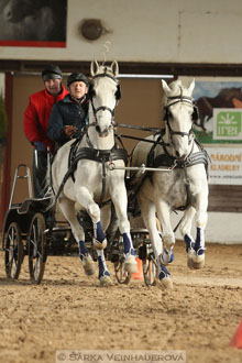 Zimní Jezdecký pohár spřežení 2016 -...
